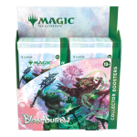 Bloomburrow Collector Booster Display - Image 2